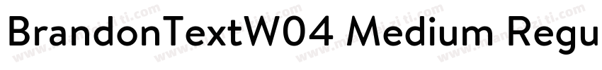 BrandonTextW04 Medium Regular字体转换